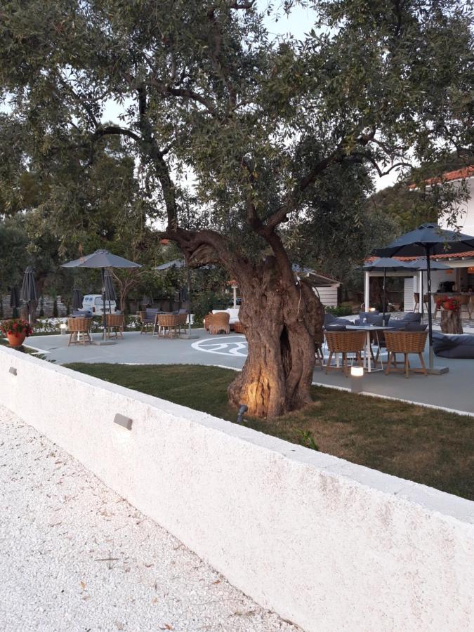 Hotel Orama Thassos Skala Sotiros Exteriér fotografie